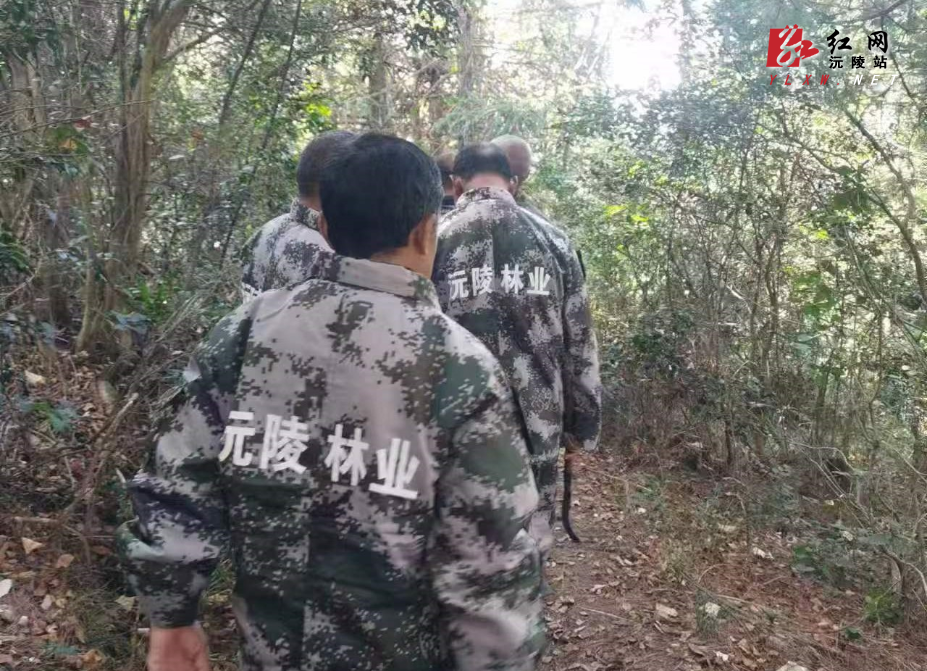 图片3.png