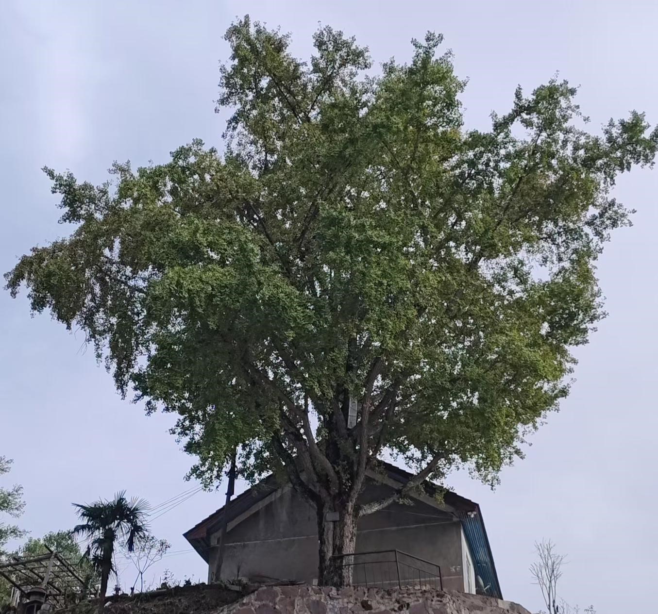 图片4.jpg